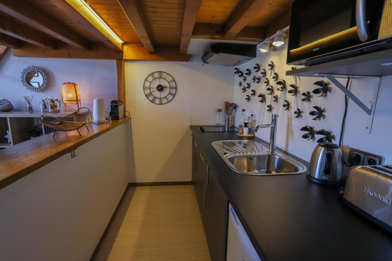 Royalement Bien ! Hyper-Centre - Wifi - Netflix - Disney Plus Άννεσι Εξωτερικό φωτογραφία